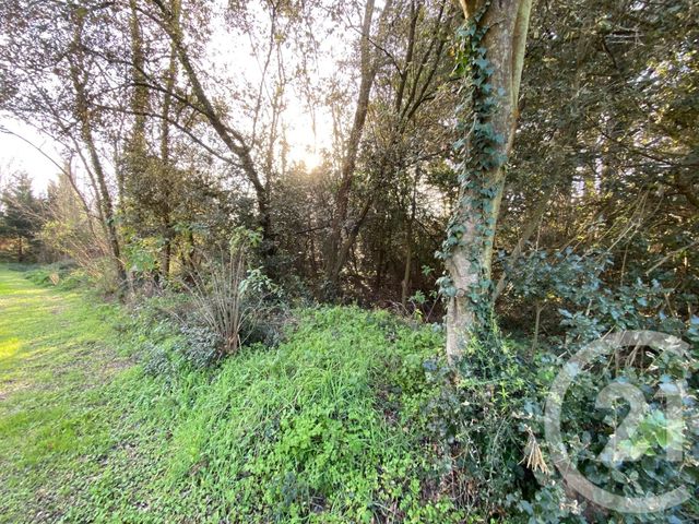 terrain à vendre - 437.0 m2 - BRETIGNOLLES SUR MER - 85 - PAYS-DE-LOIRE - Century 21 Bleu Marine