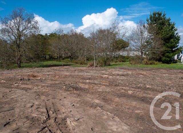 terrain à vendre - 455.0 m2 - BRETIGNOLLES SUR MER - 85 - PAYS-DE-LOIRE - Century 21 Bleu Marine