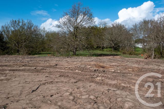 terrain à vendre - 313.0 m2 - BRETIGNOLLES SUR MER - 85 - PAYS-DE-LOIRE - Century 21 Bleu Marine
