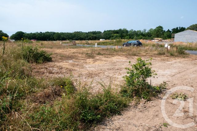 terrain à vendre - 553.0 m2 - BRETIGNOLLES SUR MER - 85 - PAYS-DE-LOIRE - Century 21 Bleu Marine