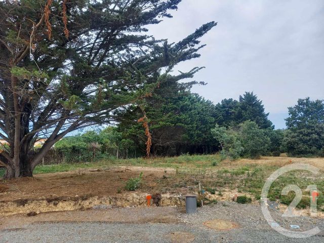terrain à vendre - 783.0 m2 - BRETIGNOLLES SUR MER - 85 - PAYS-DE-LOIRE - Century 21 Bleu Marine