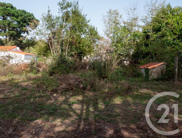 terrain à vendre - 346.0 m2 - BRETIGNOLLES SUR MER - 85 - PAYS-DE-LOIRE - Century 21 Bleu Marine