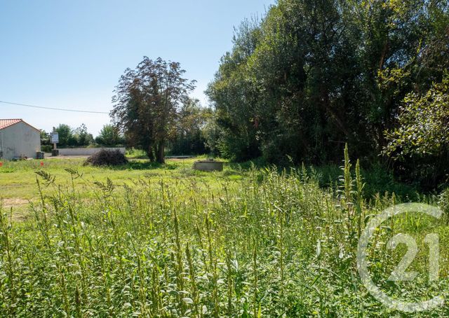 terrain à vendre - 506.0 m2 - BRETIGNOLLES SUR MER - 85 - PAYS-DE-LOIRE - Century 21 Bleu Marine