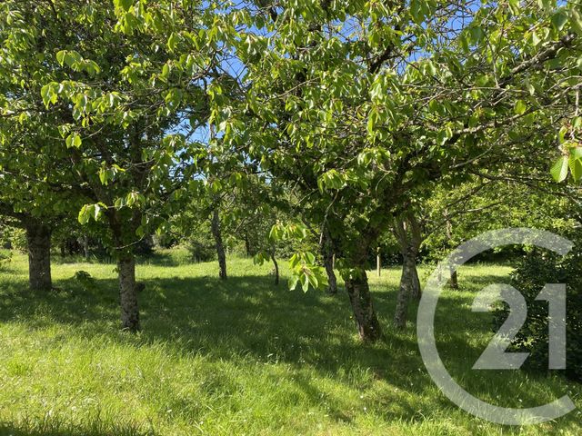 Afficher la photo en grand maison à vendre - 12 pièces - 294.0 m2 - BRETIGNOLLES SUR MER - 85 - PAYS-DE-LOIRE - Century 21 Bleu Marine