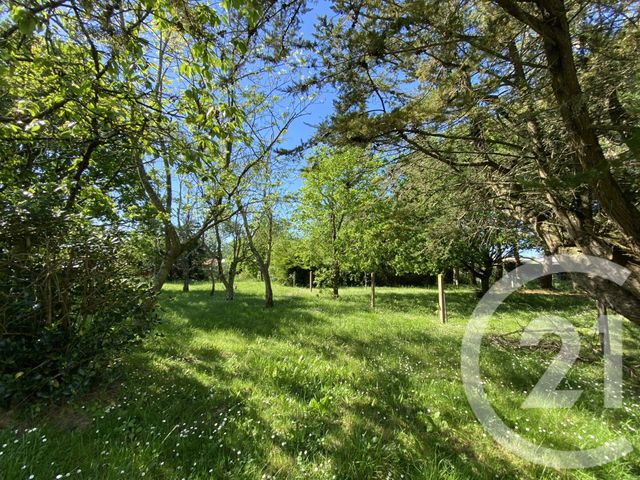 Afficher la photo en grand maison à vendre - 12 pièces - 294.0 m2 - BRETIGNOLLES SUR MER - 85 - PAYS-DE-LOIRE - Century 21 Bleu Marine