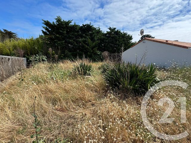 terrain à vendre - 250.0 m2 - BRETIGNOLLES SUR MER - 85 - PAYS-DE-LOIRE - Century 21 Bleu Marine