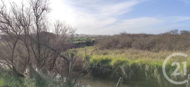 maison à louer - 1 pièce - 22.5 m2 - BREM SUR MER - 85 - PAYS-DE-LOIRE - Century 21 Bleu Marine