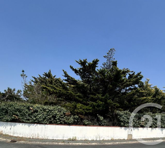 terrain à vendre - 358.0 m2 - BRETIGNOLLES SUR MER - 85 - PAYS-DE-LOIRE - Century 21 Bleu Marine